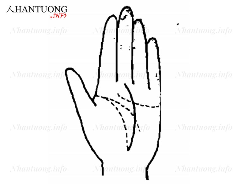 Đường chỉ tay người ham mê cờ bạc Đường chỉ tay người ham mê cờ bạc