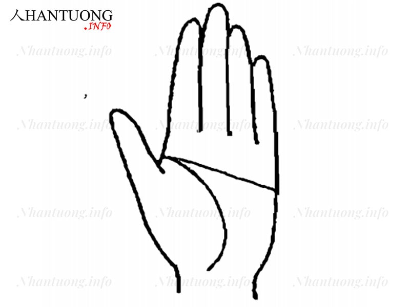 Đường chỉ tay gặp may mắn trong đầu tư Đường chỉ tay gặp may mắn trong đầu tư