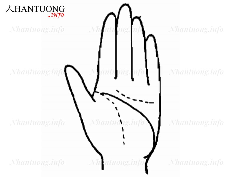 Đường chỉ tay hay trúng thưởng Đường chỉ tay hay trúng thưởng