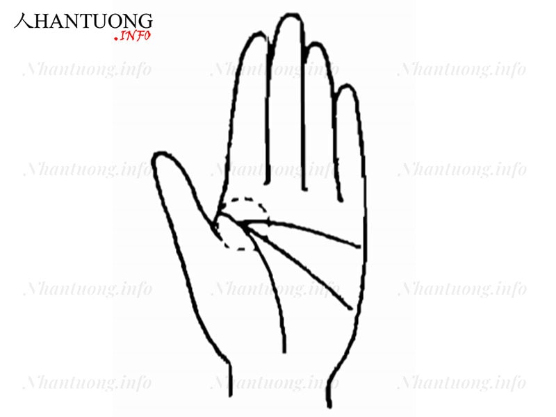 Đường chỉ tay giỏi phân tích Đường chỉ tay giỏi phân tích