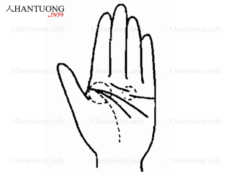 Đường chỉ tay của người hay gặp vận may bất ngờ Đường chỉ tay của người hay gặp vận may bất ngờ