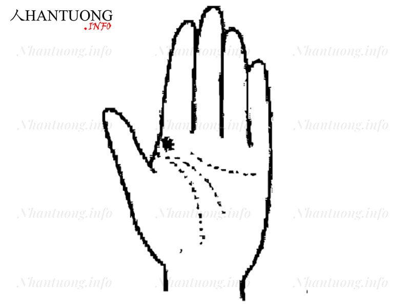 Đường chỉ tay người gặp may mắn trong thi cử Đường chỉ tay người gặp may mắn trong thi cử