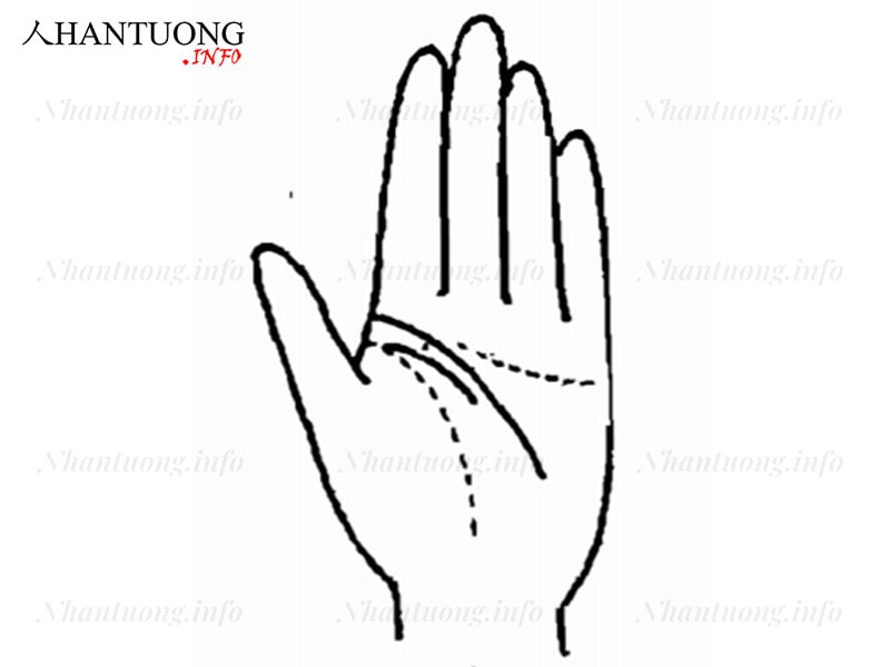 Đường chỉ tay của người hay gặp được cơ hội thành công Đường chỉ tay của người hay gặp được cơ hội thành công
