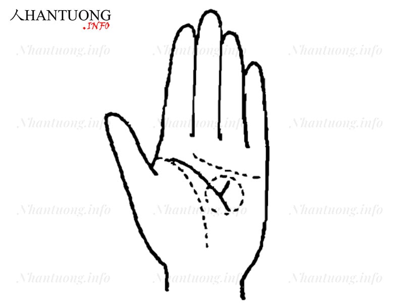 Đường chỉ tay của người may mắn trong buôn bán Đường chỉ tay của người may mắn trong buôn bán