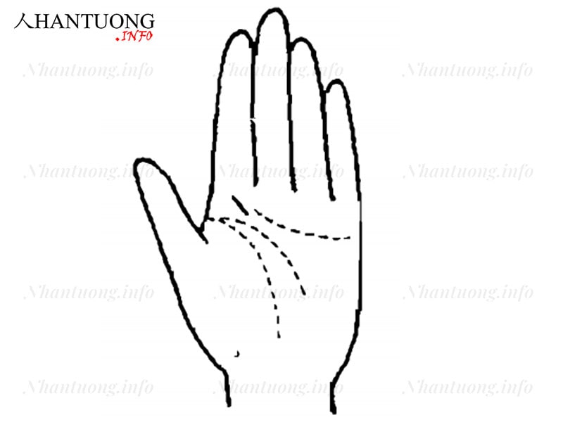 Đường chỉ tay người có vận may hậu vận Đường chỉ tay người có vận may hậu vận