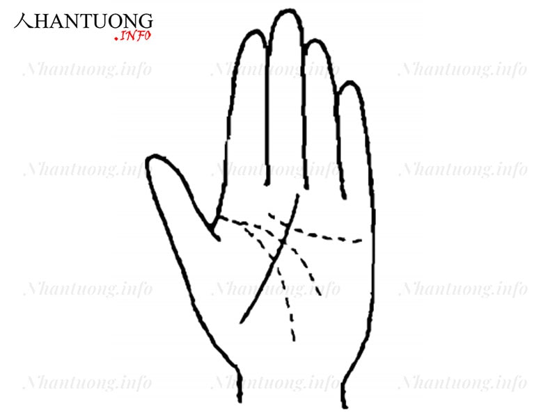 Đường chỉ tay người phải hợp tác làm ăn với người khác Đường chỉ tay người phải hợp tác làm ăn với người khác