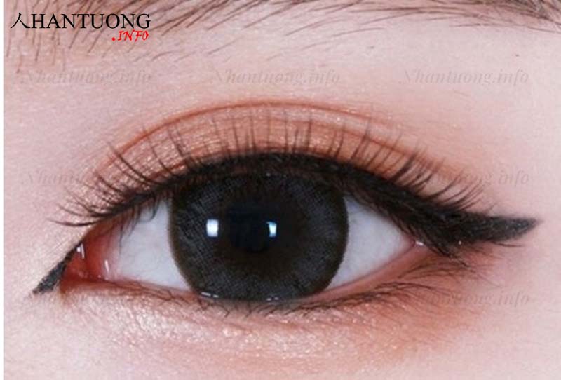 Màu mắt phổ biến của người Việt Nam Màu mắt phổ biến của người Việt Nam