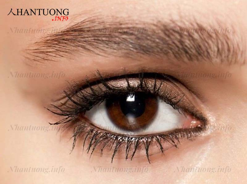 Tướng mắt màu nâu Tướng mắt màu nâu