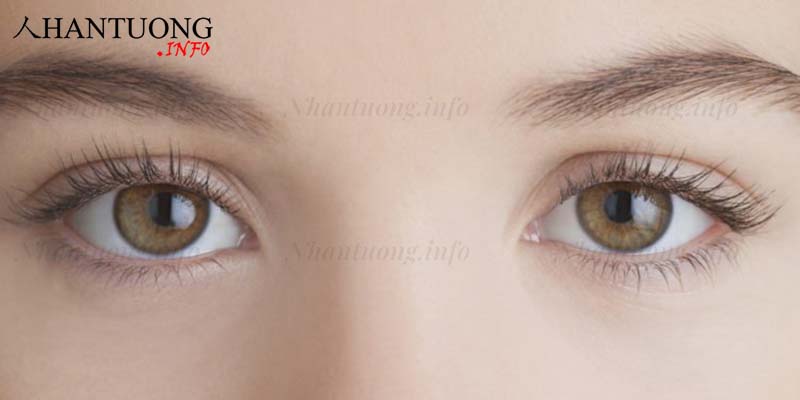Tướng mắt màu vàng Tướng mắt màu vàng