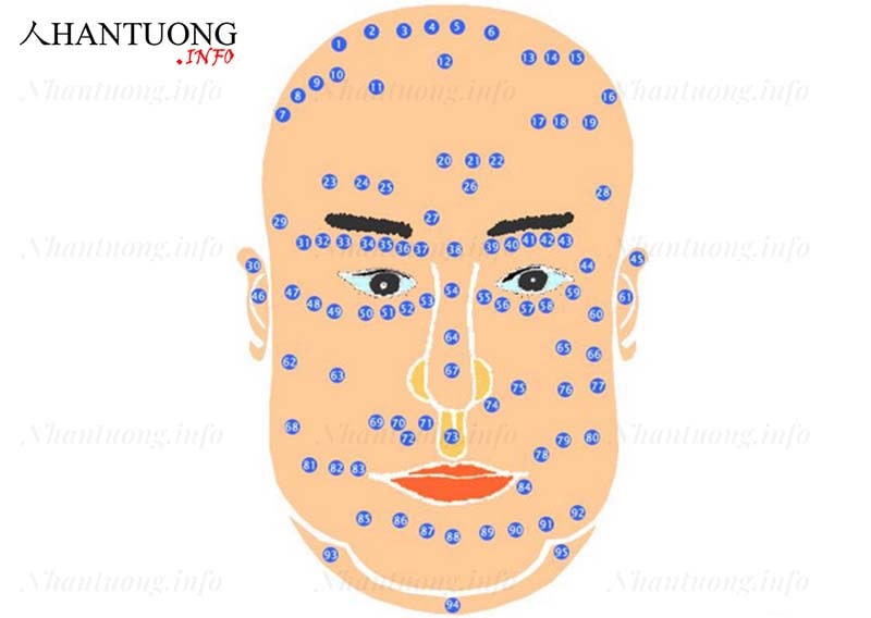 Sơ đồ 95 nốt ruồi thường gặp trên khuôn mặt Sơ đồ 95 nốt ruồi thường gặp trên khuôn mặt