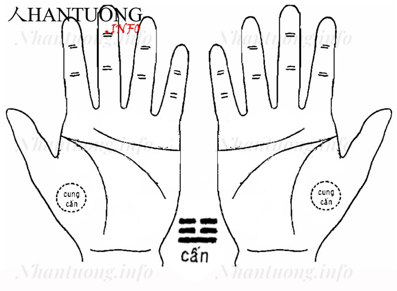Cung Cấn trên bàn tay Cung Cấn trên bàn tay