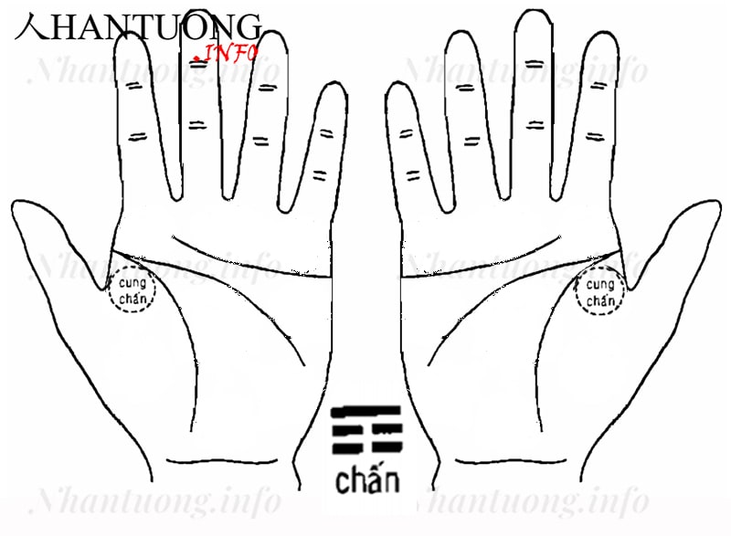 Cung Chấn trên bàn tay Cung Chấn trên bàn tay