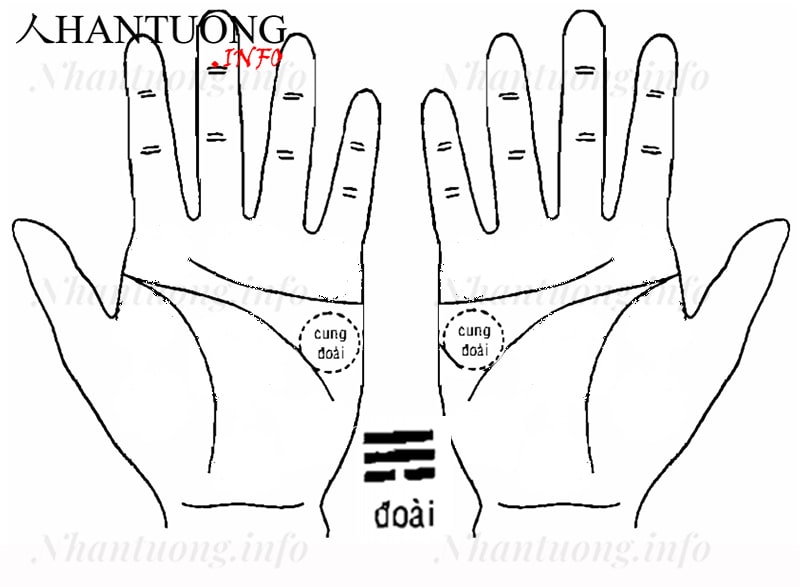 Cung Đoài trên bàn tay Cung Đoài trên bàn tay