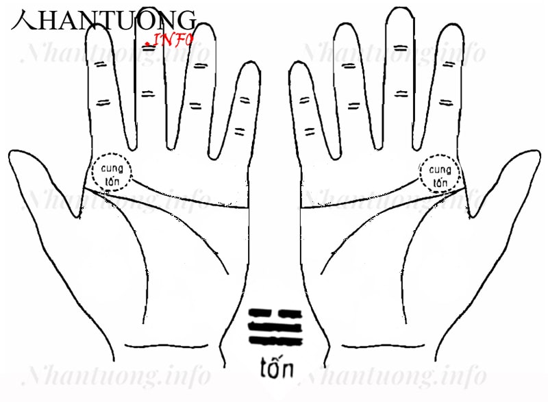 Cung Tốn trên bàn tay Cung Tốn trên bàn tay