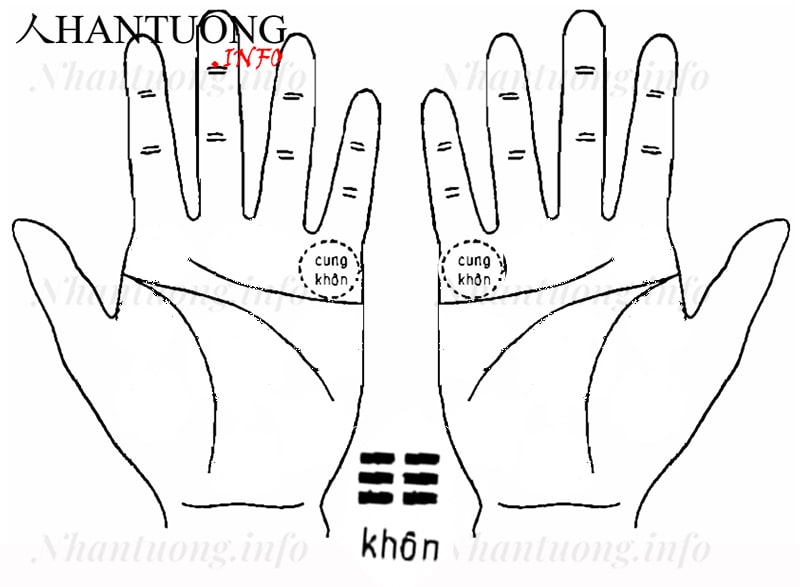 Cung Khôn trên bàn tay Cung Khôn trên bàn tay