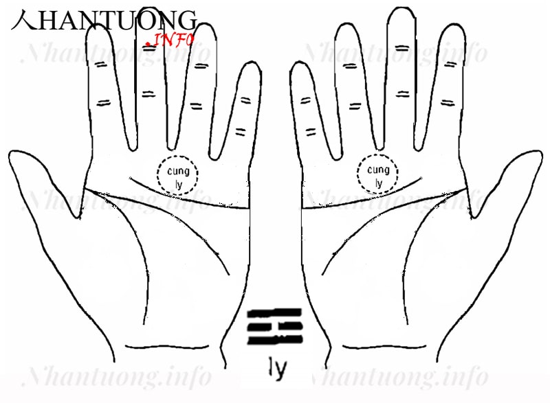 Cung Ly trên bàn tay Cung Ly trên bàn tay