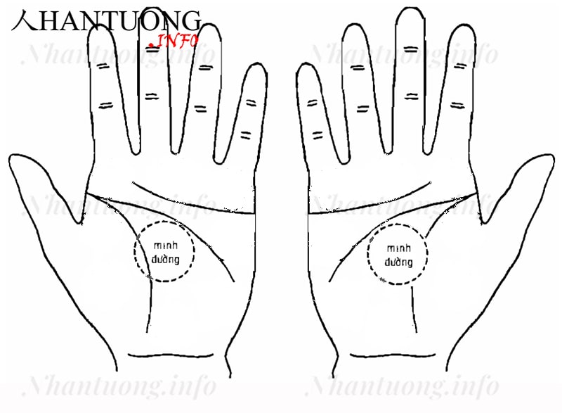 Minh Đường trên bàn tay Minh Đường trên bàn tay