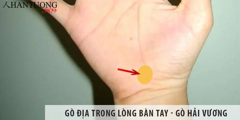 Gò Địa trong lòng bàn tay - Gò Hải vương có ý nghĩa gì Gò Địa trong lòng bàn tay - Gò Hải vương có ý nghĩa gì