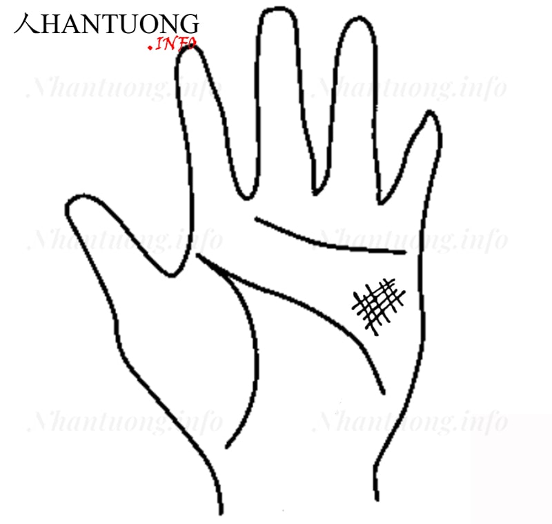 Gò Hỏa tinh âm có hình lưới Gò Hỏa tinh âm có hình lưới