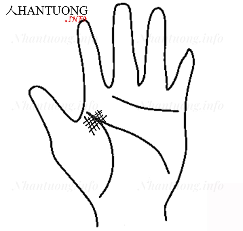 Gò Hỏa tinh dương có hình lưới Gò Hỏa tinh dương có hình lưới