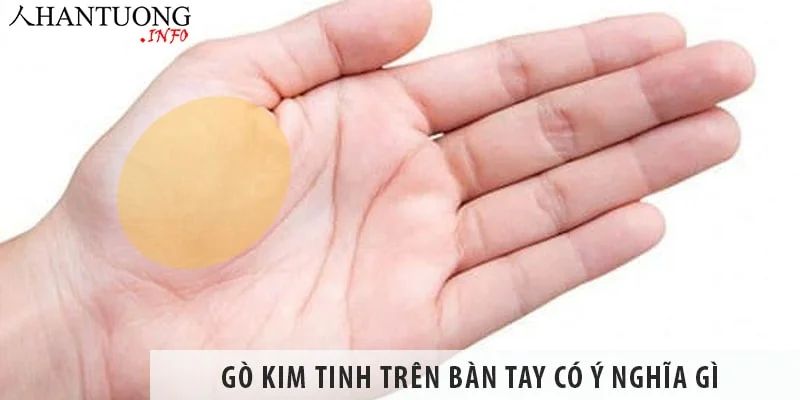 Gò Kim tinh trên bàn tay có ý nghĩa gì, cách xem tướng gò Kim tinh Gò Kim tinh trên bàn tay có ý nghĩa gì, cách xem tướng gò Kim tinh