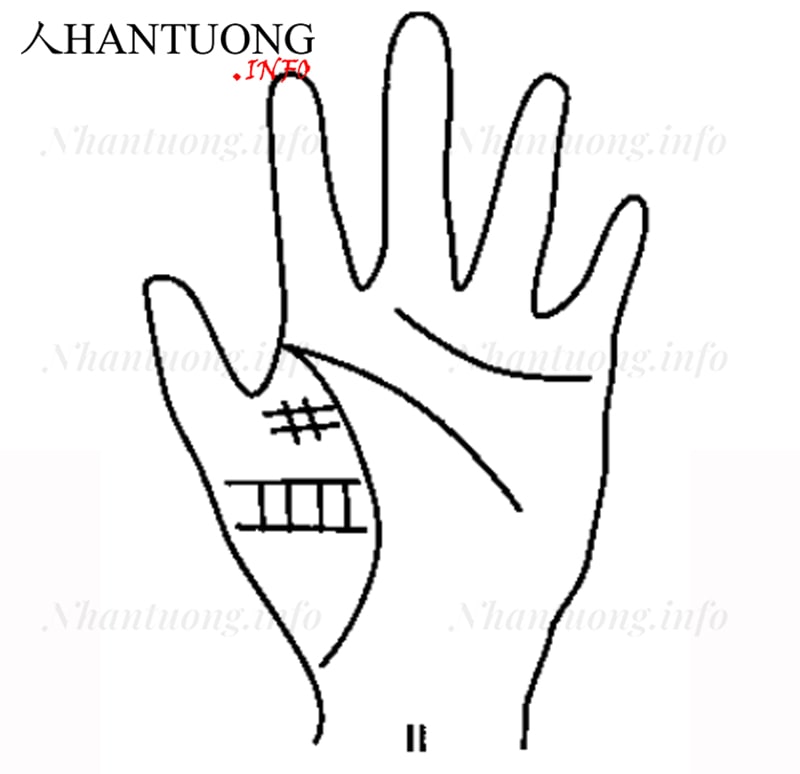 Dấu x, chữ thập trên gò Kim tinh Dấu x, chữ thập trên gò Kim tinh