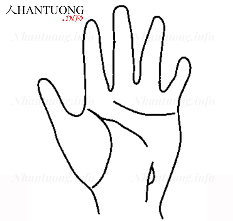 Gò Thái âm có vân đảo Gò Thái âm có vân đảo