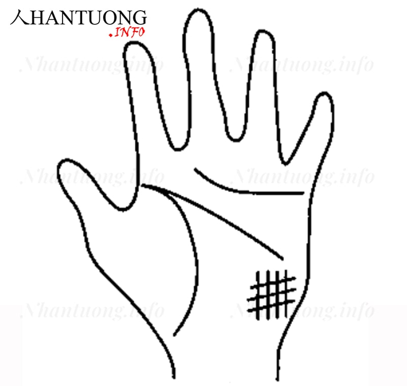 Gò Thái âm có hình lưới Gò Thái âm có hình lưới