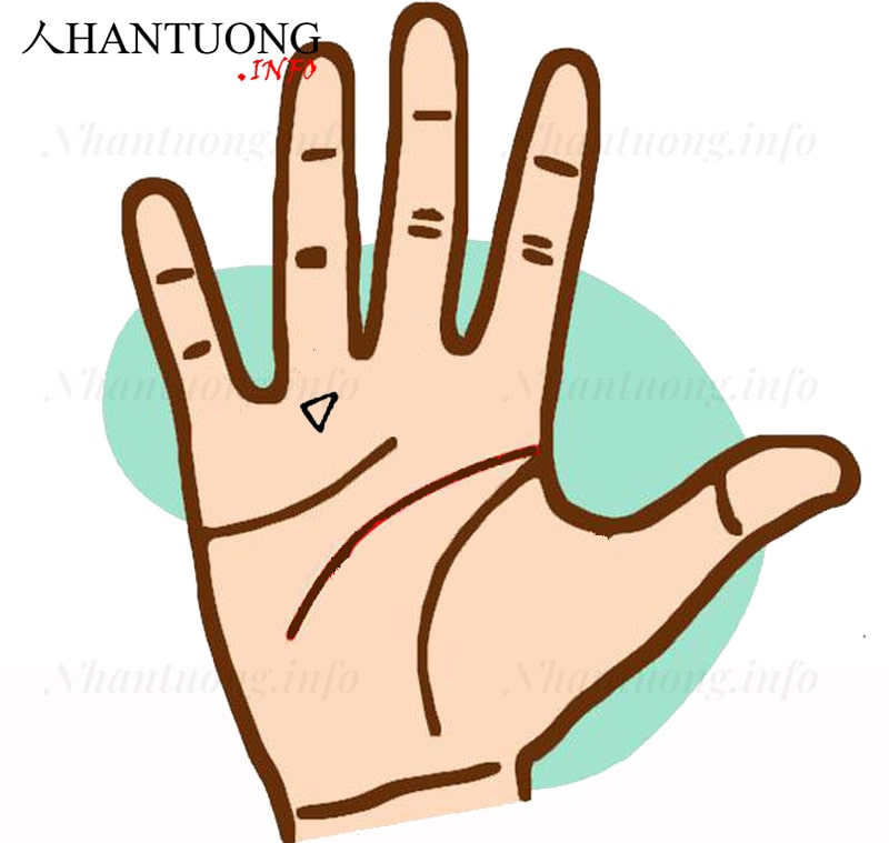 Gò Thái dương có hình tam giác Gò Thái dương có hình tam giác