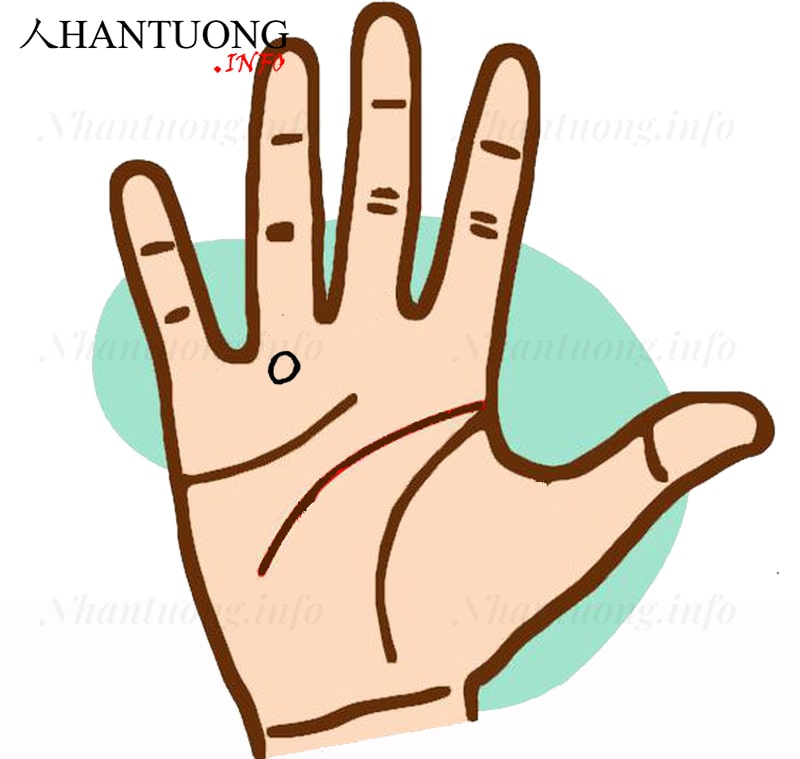 Gò Thái dương có hình tròn Gò Thái dương có hình tròn