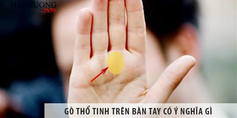 Gò Thổ tinh trên bàn tay có ý nghĩa gì, cách xem tướng gò Thổ tinh Gò Thổ tinh trên bàn tay có ý nghĩa gì, cách xem tướng gò Thổ tinh