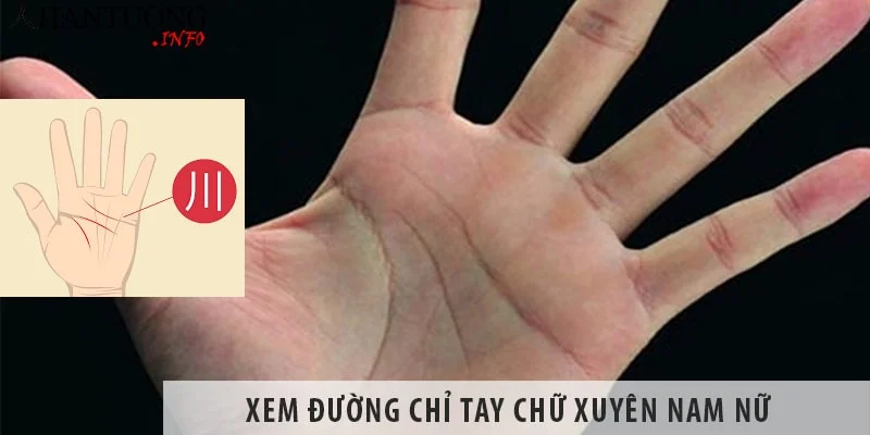 Xem đường chỉ tay chữ xuyên nam nữ - 3 đường chỉ tay tách rời Xem đường chỉ tay chữ xuyên nam nữ - 3 đường chỉ tay tách rời