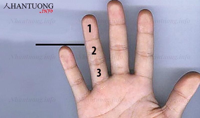 Các đốt ngón tay áp út và ý nghĩa Các đốt ngón tay áp út và ý nghĩa