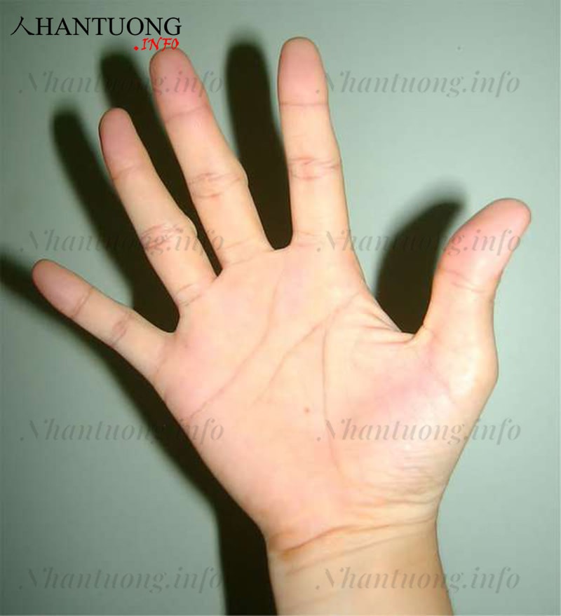 Luận giải ý nghĩa ngón tay cái theo vị trí đóng của ngón tay Luận giải ý nghĩa ngón tay cái theo vị trí đóng của ngón tay