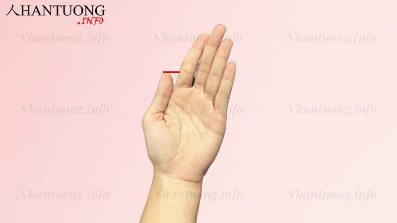 Xác định độ dài ngắn của ngón cái Xác định độ dài ngắn của ngón cái