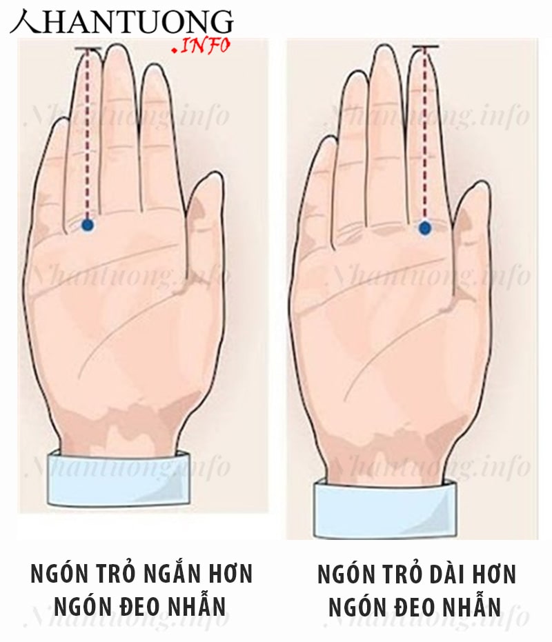 Ngón trỏ dài và ngón trỏ ngắn Ngón trỏ dài và ngón trỏ ngắn