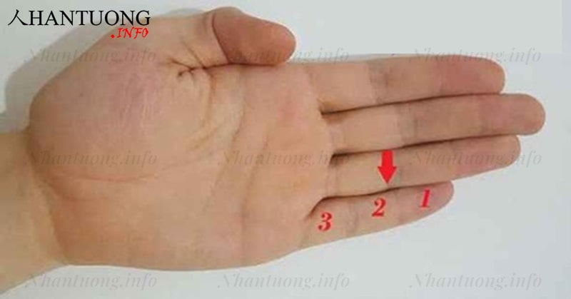 Các đốt trên ngón tay út Các đốt trên ngón tay út