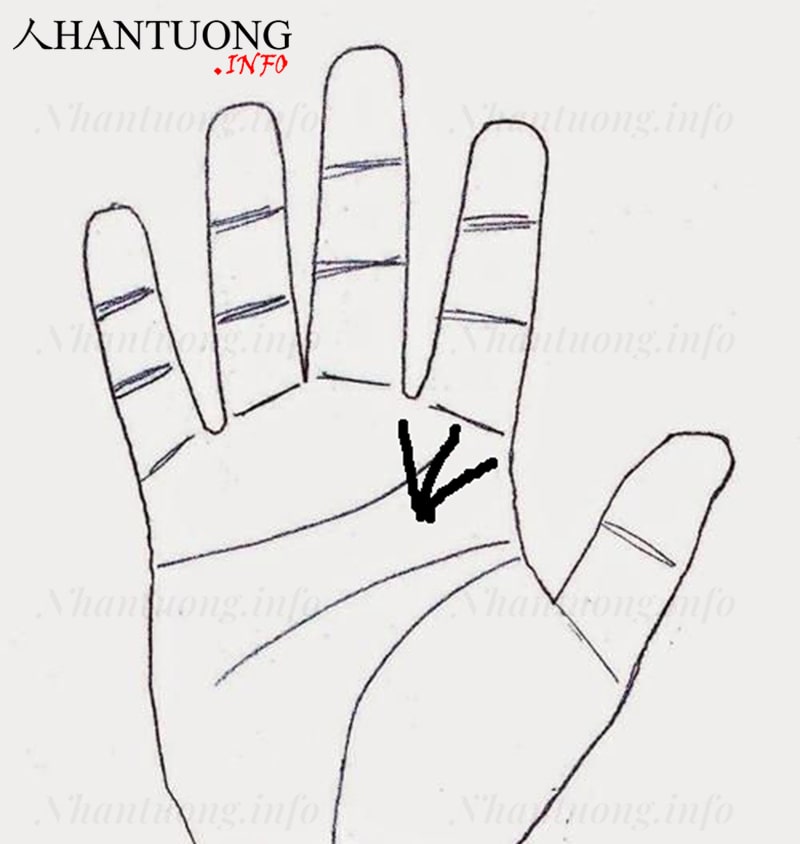 Đường chỉ tay tam xiên được tạo bởi 3 chỉ tay thường Đường chỉ tay tam xiên được tạo bởi 3 chỉ tay thường