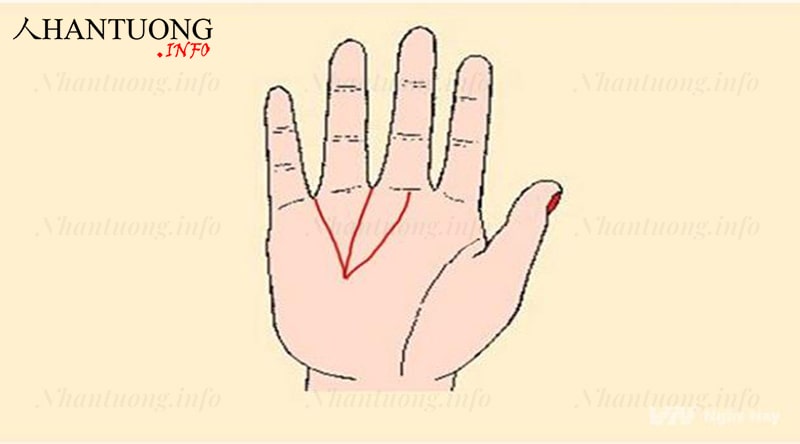 Đường chỉ tay tam xiên được tạo bởi 3 chỉ tay chính