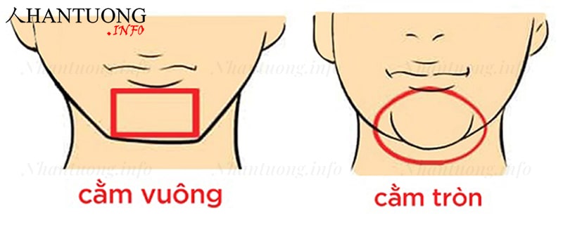 Tướng cằm người có hậu vận tốt Tướng cằm người có hậu vận tốt
