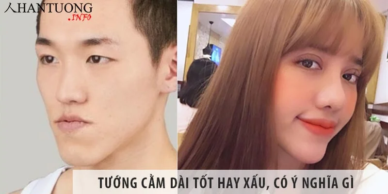 Người có người cằm dài tốt hay xấu, mang ý nghĩa gì Người có người cằm dài tốt hay xấu, mang ý nghĩa gì