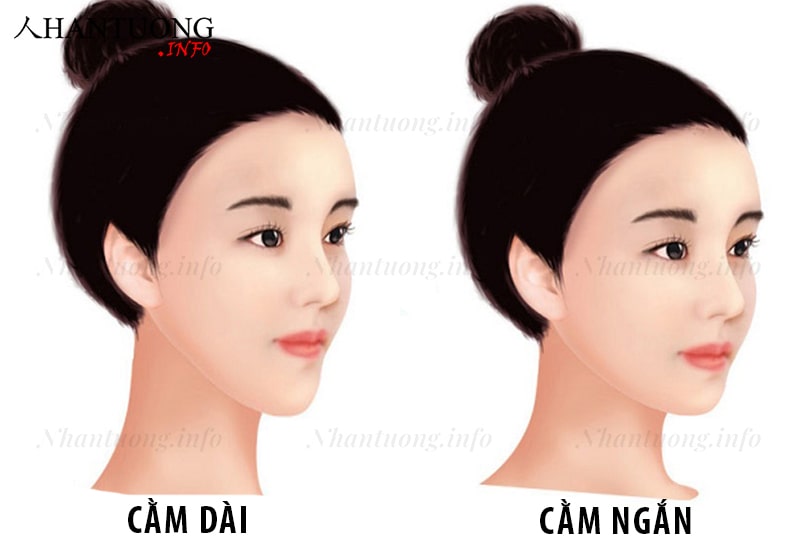 Cách phân biệt tướng cằm dài với cằm ngắn Cách phân biệt tướng cằm dài với cằm ngắn
