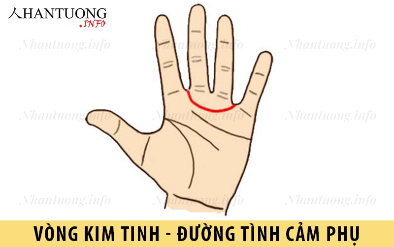 Đường tình cảm phụ - đường Kim tinh Đường tình cảm phụ - đường Kim tinh