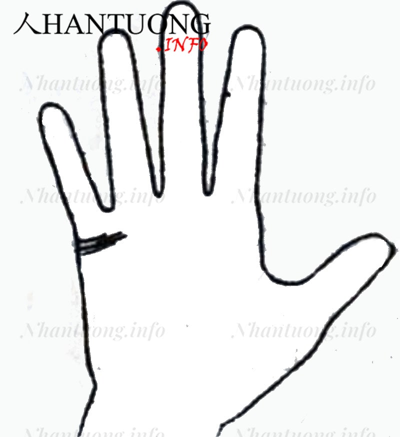 Bàn tay có nhiều đường hôn nhân