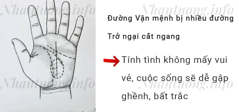 Đường Vận mệnh bị nhiều đường Trở ngại cắt ngang Đường Vận mệnh bị nhiều đường Trở ngại cắt ngang