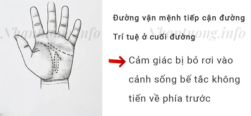 Đường vận mệnh tiếp cận đường Trí tuệ ở cuối đường Đường vận mệnh tiếp cận đường Trí tuệ ở cuối đường