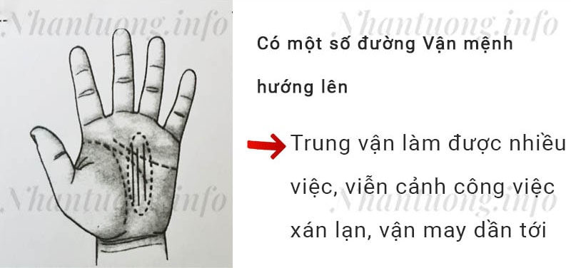 Có một số đường Vận mệnh hướng lên Có một số đường Vận mệnh hướng lên