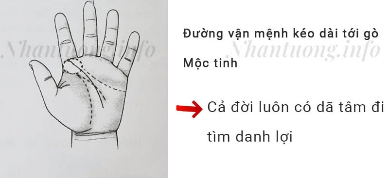 Đường vận mệnh kéo dài tới gò Mộc tinh Đường vận mệnh kéo dài tới gò Mộc tinh