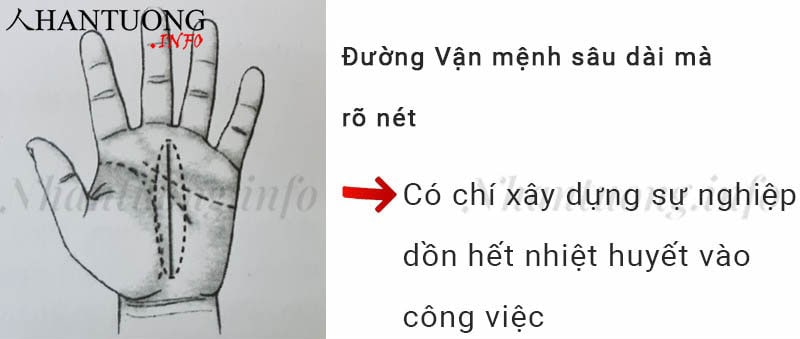 Đường Vận mệnh sâu dài mà rõ nét Đường Vận mệnh sâu dài mà rõ nét