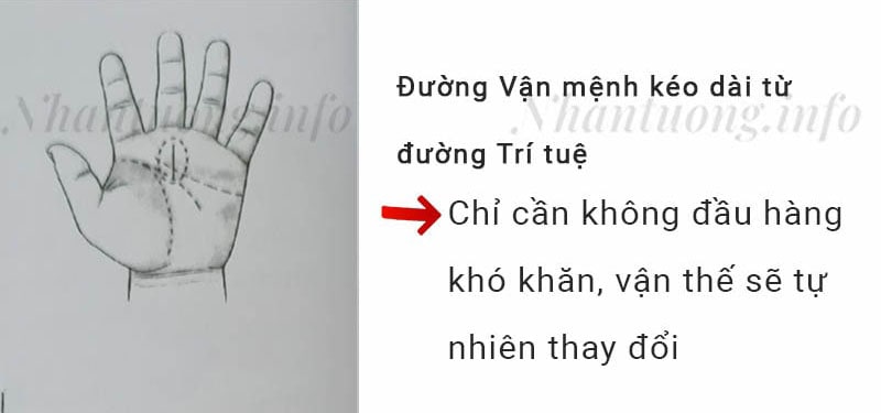 Đường Vận mệnh kéo dài từ đường Trí tuệ Đường Vận mệnh kéo dài từ đường Trí tuệ